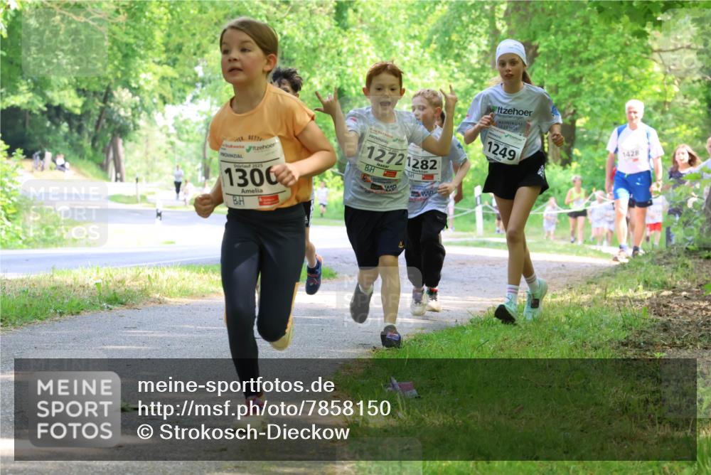 17.05.2025 - Störlauf Strokosch-Dieckow http://msf.ph/oto/7858150 17.05.2025 14:50:33 Laufen 2025, 1300, 12721282, 1249, 1428 meine-sportfotos.de