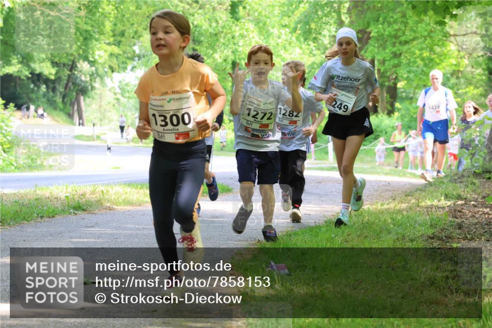 17.05.2025 - Störlauf Strokosch-Dieckow http://msf.ph/oto/7858153 17.05.2025 14:50:33 Laufen 2025, 1300, 1272, 1282, 249, 1428 meine-sportfotos.de
