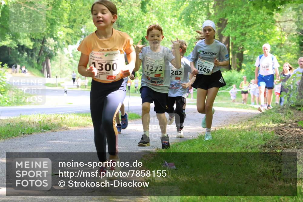 17.05.2025 - Störlauf Strokosch-Dieckow http://msf.ph/oto/7858155 17.05.2025 14:50:33 Laufen 2025, 1300, 1272, 282, 1249, 1428 meine-sportfotos.de