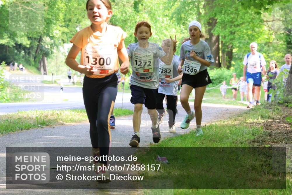 17.05.2025 - Störlauf Strokosch-Dieckow http://msf.ph/oto/7858157 17.05.2025 14:50:33 Laufen 2021, 1300, 2025, 1272, 1282, 112, 1249, 1428 meine-sportfotos.de