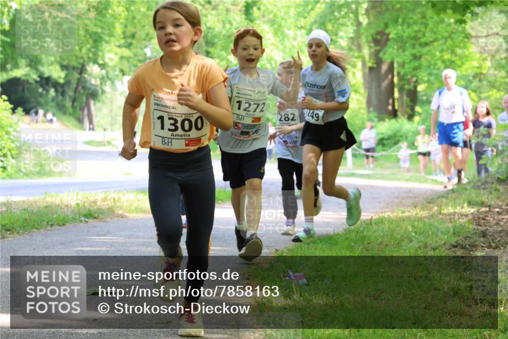 17.05.2025 - Störlauf Strokosch-Dieckow http://msf.ph/oto/7858163 17.05.2025 14:50:33 Laufen 2025, 1300, 1272, 282, 249 meine-sportfotos.de