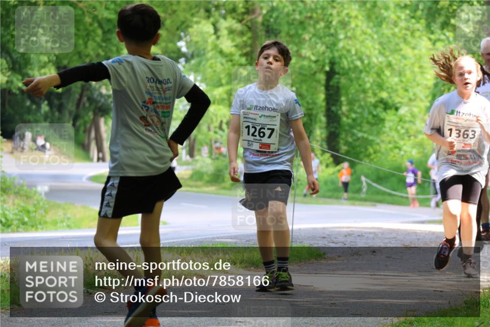 17.05.2025 - Störlauf Strokosch-Dieckow http://msf.ph/oto/7858166 17.05.2025 14:50:38 Laufen 2025, 1267, 1363 meine-sportfotos.de