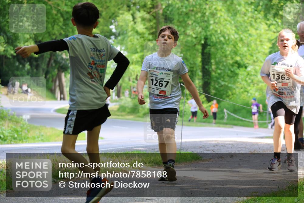 17.05.2025 - Störlauf Strokosch-Dieckow http://msf.ph/oto/7858168 17.05.2025 14:50:38 Laufen 1365, 1267 meine-sportfotos.de