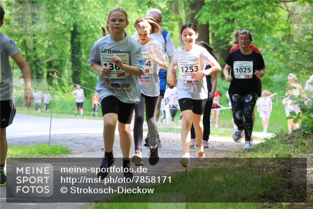 17.05.2025 - Störlauf Strokosch-Dieckow http://msf.ph/oto/7858171 17.05.2025 14:50:39 Laufen 36, 4, 2025, 1253, 1025, 1346 meine-sportfotos.de