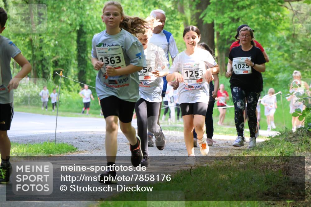 17.05.2025 - Störlauf Strokosch-Dieckow http://msf.ph/oto/7858176 17.05.2025 14:50:39 Laufen 2025, 1363, 254, 1253, 1025 meine-sportfotos.de