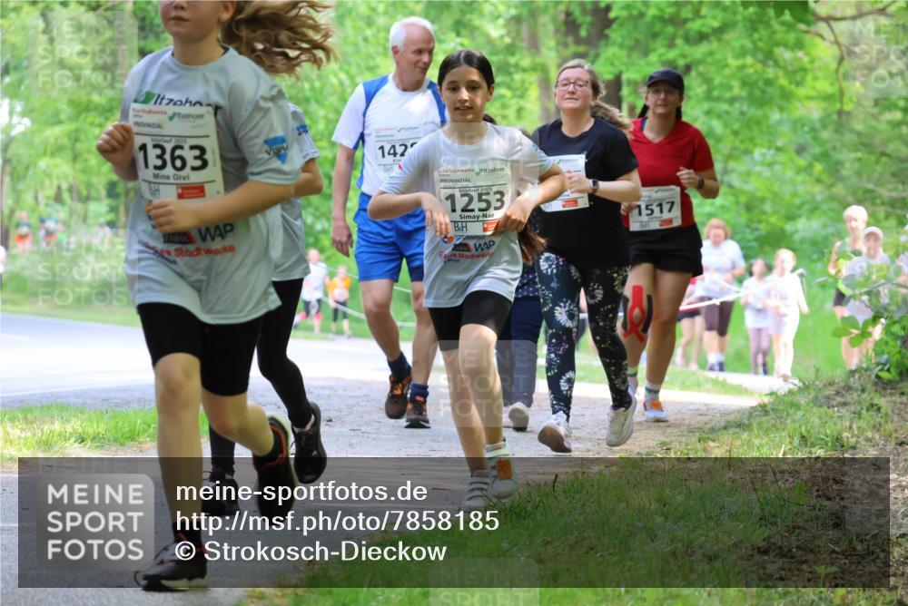 17.05.2025 - Störlauf Strokosch-Dieckow http://msf.ph/oto/7858185 17.05.2025 14:50:41 Laufen 1363, 142, 2025, 1253, 1517 meine-sportfotos.de