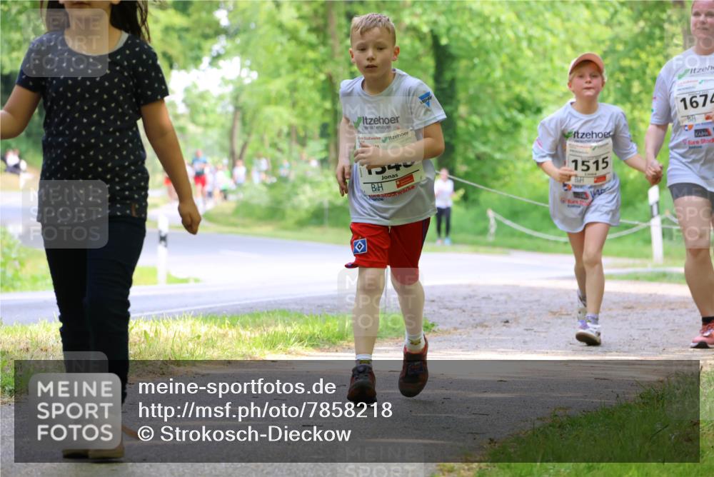 17.05.2025 - Störlauf Strokosch-Dieckow http://msf.ph/oto/7858218 17.05.2025 14:50:52 Laufen 540, 1674, 1515 meine-sportfotos.de