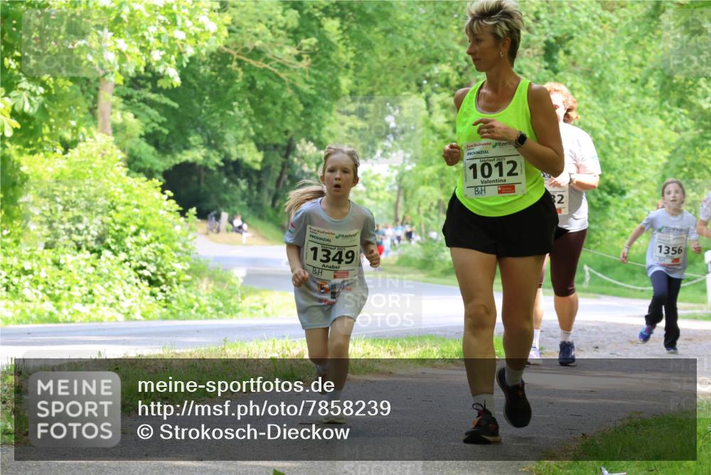 17.05.2025 - Störlauf Strokosch-Dieckow http://msf.ph/oto/7858239 17.05.2025 14:51:00 Laufen 1349, 2025, 1012, 2, 1356 meine-sportfotos.de