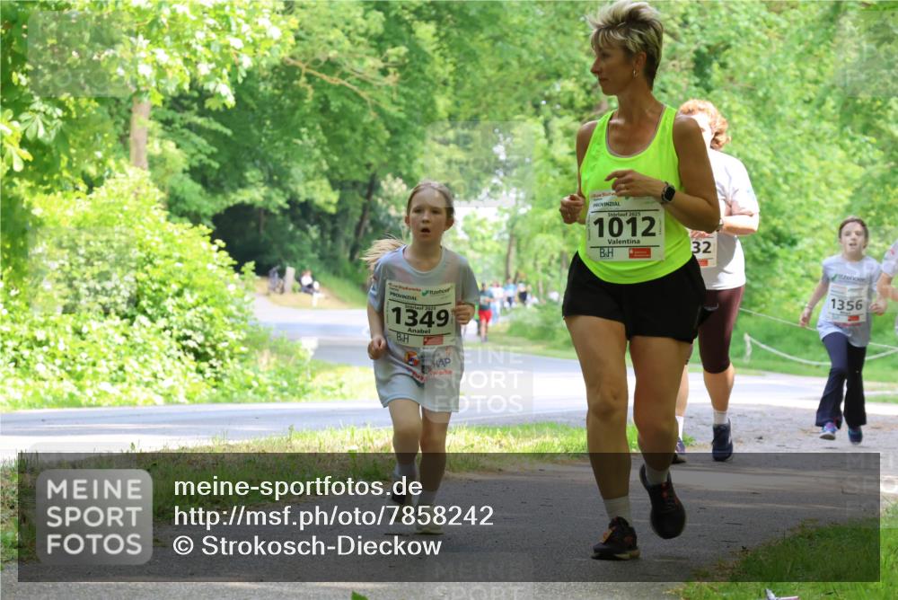 17.05.2025 - Störlauf Strokosch-Dieckow http://msf.ph/oto/7858242 17.05.2025 14:51:00 Laufen 2025, 1349, 2025, 1012, 32, 1356 meine-sportfotos.de