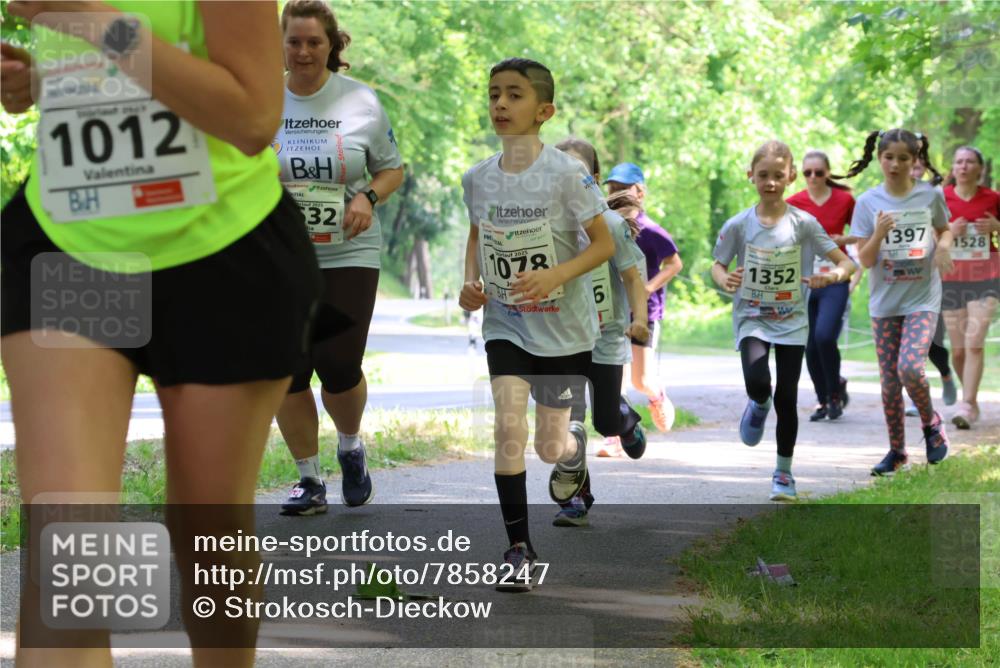 17.05.2025 - Störlauf Strokosch-Dieckow http://msf.ph/oto/7858247 17.05.2025 14:51:04 Laufen 1012, 2025, 32, 1078, 6, 1352, 1397, 1528 meine-sportfotos.de