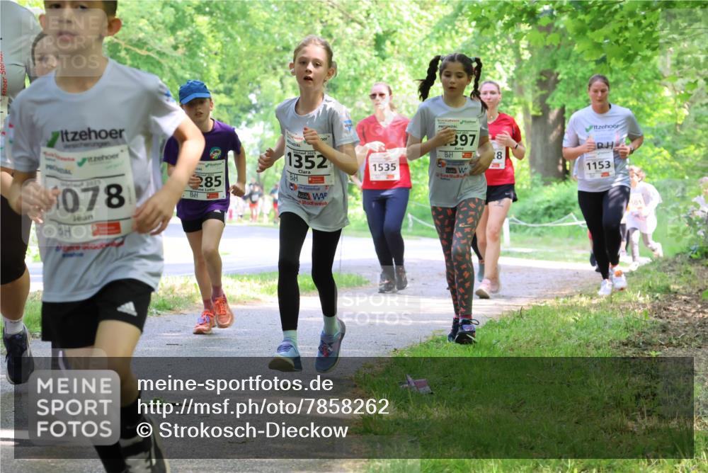 17.05.2025 - Störlauf Strokosch-Dieckow http://msf.ph/oto/7858262 17.05.2025 14:51:05 Laufen 2025, 1078, 285, 2025, 1352, 397, 1535, 18, 1153 meine-sportfotos.de