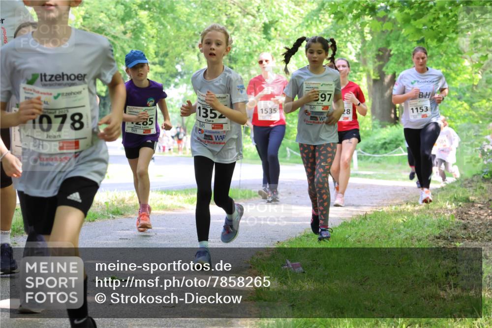 17.05.2025 - Störlauf Strokosch-Dieckow http://msf.ph/oto/7858265 17.05.2025 14:51:05 Laufen 2025, 1078, 85, 135, 397, 1535, 28, 1153 meine-sportfotos.de