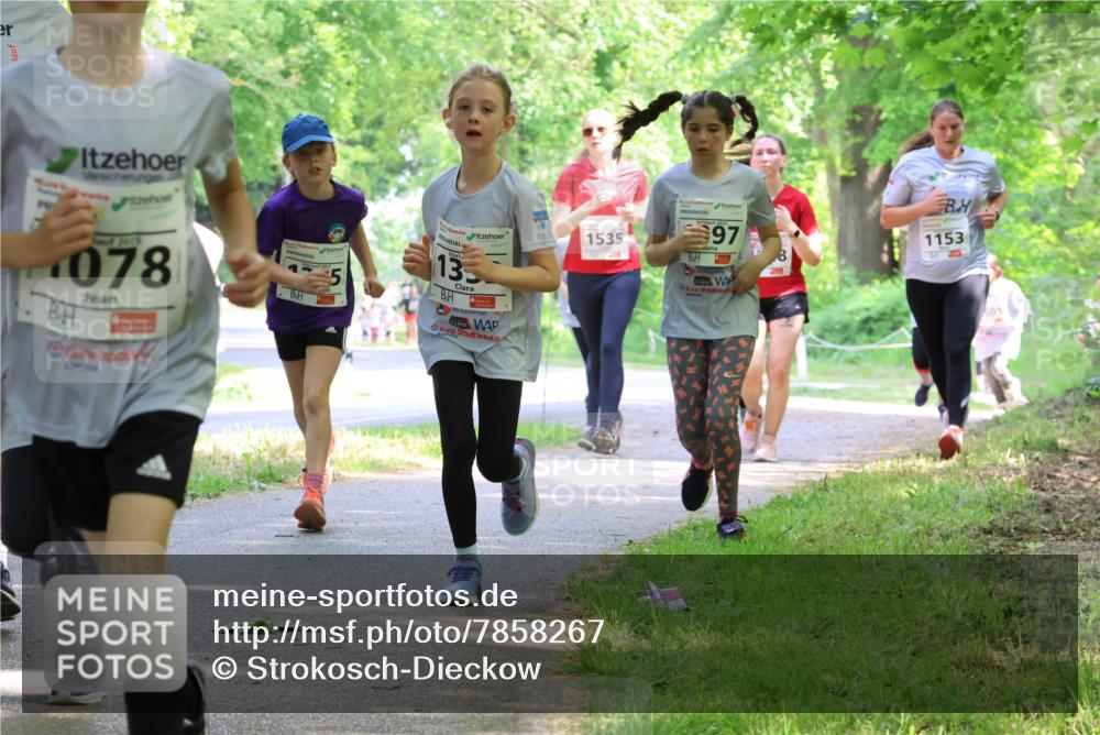 17.05.2025 - Störlauf Strokosch-Dieckow http://msf.ph/oto/7858267 17.05.2025 14:51:05 Laufen 2015, 078, 13, 1535, 2025, 97, 1153 meine-sportfotos.de
