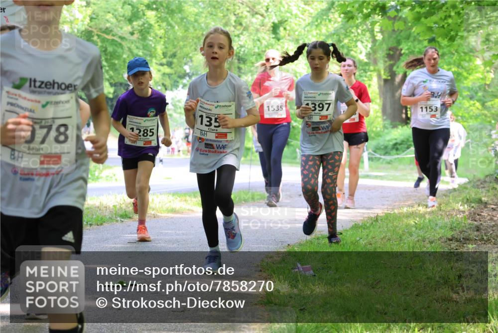 17.05.2025 - Störlauf Strokosch-Dieckow http://msf.ph/oto/7858270 17.05.2025 14:51:06 Laufen 978, 2025, 1285, 2, 135, 1535, 133, 2025, 397, 1153 meine-sportfotos.de