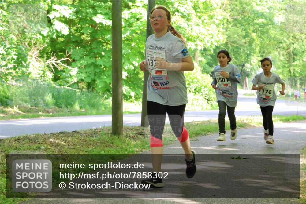 17.05.2025 - Störlauf Strokosch-Dieckow http://msf.ph/oto/7858302 17.05.2025 14:51:15 Laufen 25, 133, 176, 25, 1501 meine-sportfotos.de