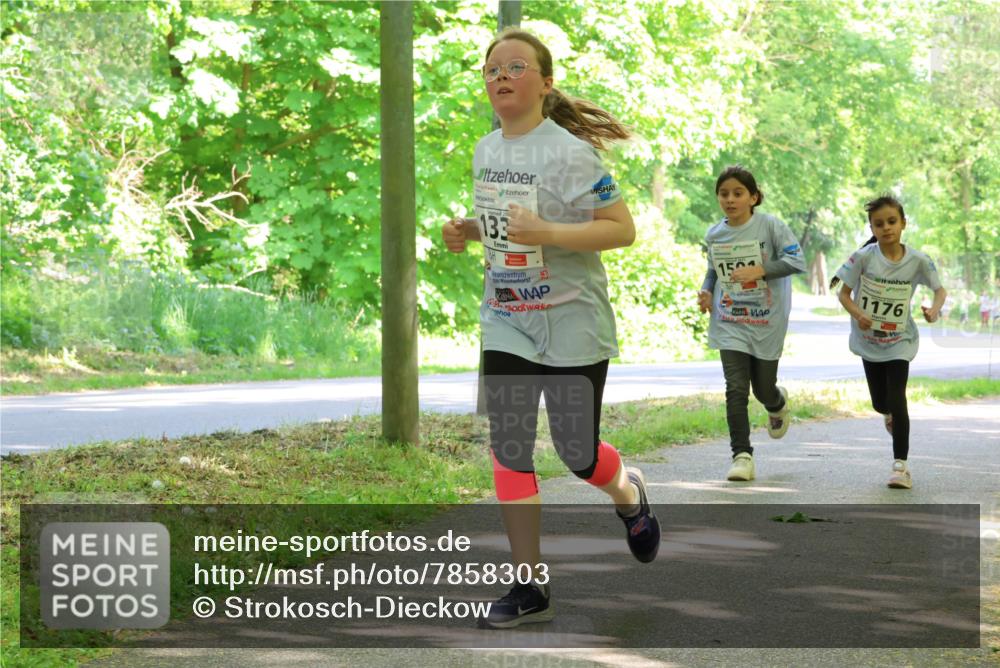 17.05.2025 - Störlauf Strokosch-Dieckow http://msf.ph/oto/7858303 17.05.2025 14:51:15 Laufen 133, 5, 1504, 1176 meine-sportfotos.de