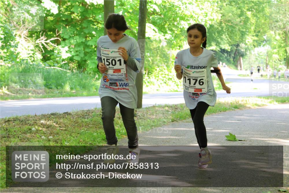17.05.2025 - Störlauf Strokosch-Dieckow http://msf.ph/oto/7858313 17.05.2025 14:51:17 Laufen 2025, 1501, 2025, 1176 meine-sportfotos.de