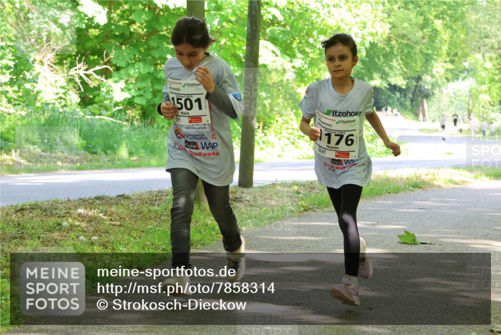 17.05.2025 - Störlauf Strokosch-Dieckow http://msf.ph/oto/7858314 17.05.2025 14:51:17 Laufen 2025, 1501, 2025, 176 meine-sportfotos.de
