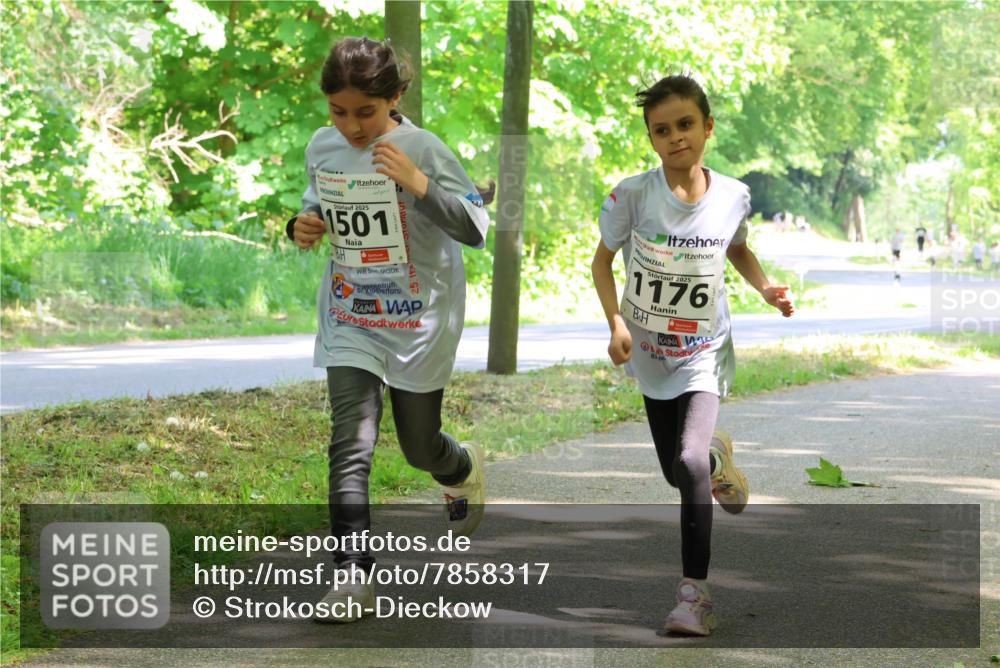 17.05.2025 - Störlauf Strokosch-Dieckow http://msf.ph/oto/7858317 17.05.2025 14:51:17 Laufen 2025, 1501, 2025, 1176 meine-sportfotos.de
