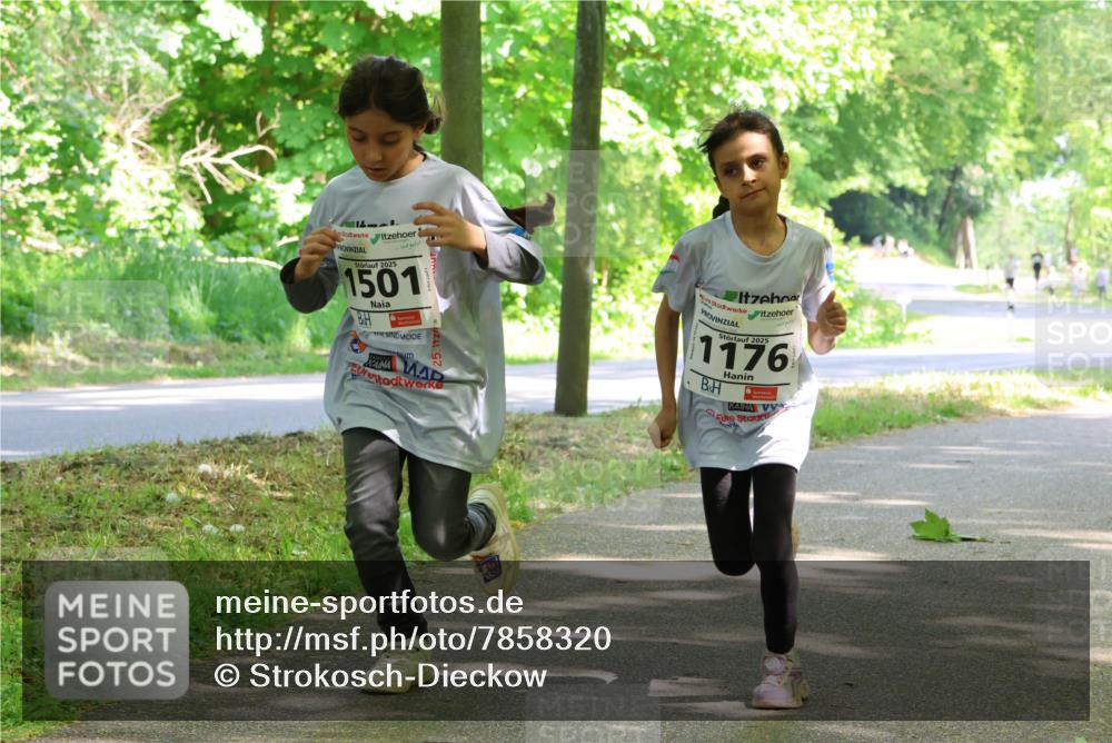 17.05.2025 - Störlauf Strokosch-Dieckow http://msf.ph/oto/7858320 17.05.2025 14:51:17 Laufen 2025, 1501, 2025, 1176 meine-sportfotos.de