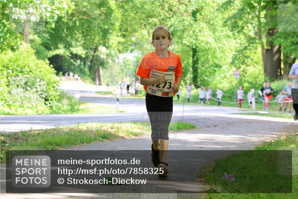 17.05.2025 - Störlauf Strokosch-Dieckow http://msf.ph/oto/7858325 17.05.2025 14:51:25 Laufen 273 meine-sportfotos.de
