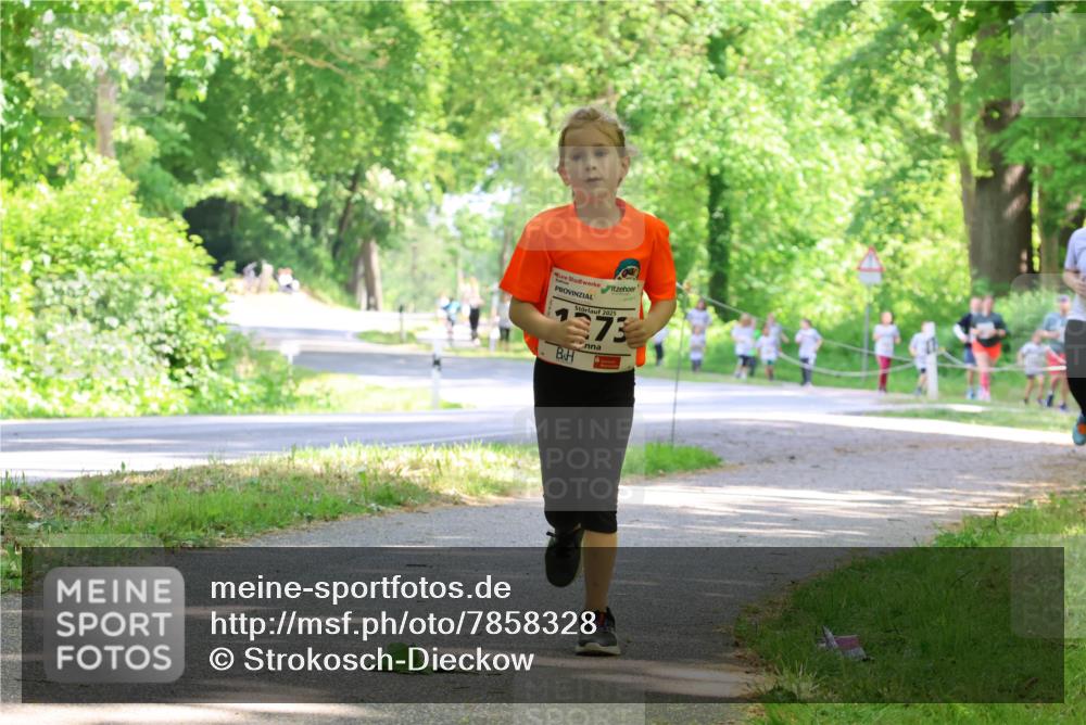 17.05.2025 - Störlauf Strokosch-Dieckow http://msf.ph/oto/7858328 17.05.2025 14:51:25 Laufen 2025, 1973 meine-sportfotos.de