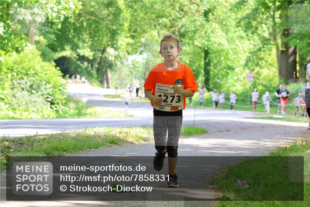 17.05.2025 - Störlauf Strokosch-Dieckow http://msf.ph/oto/7858331 17.05.2025 14:51:25 Laufen 2025, 273 meine-sportfotos.de