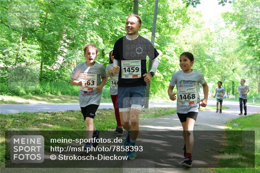 17.05.2025 - Störlauf Strokosch-Dieckow http://msf.ph/oto/7858393 17.05.2025 14:51:59 Laufen 63, 146, 2025, 1459, 2025, 1468, 1352 meine-sportfotos.de