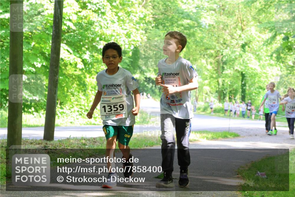 17.05.2025 - Störlauf Strokosch-Dieckow http://msf.ph/oto/7858400 17.05.2025 14:52:03 Laufen 2025, 1359, 1279, 1284 meine-sportfotos.de