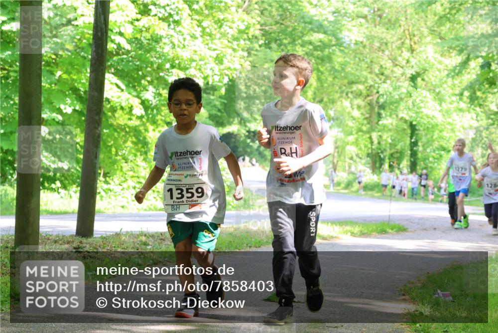 17.05.2025 - Störlauf Strokosch-Dieckow http://msf.ph/oto/7858403 17.05.2025 14:52:03 Laufen 2025, 1359, 1279, 1284 meine-sportfotos.de