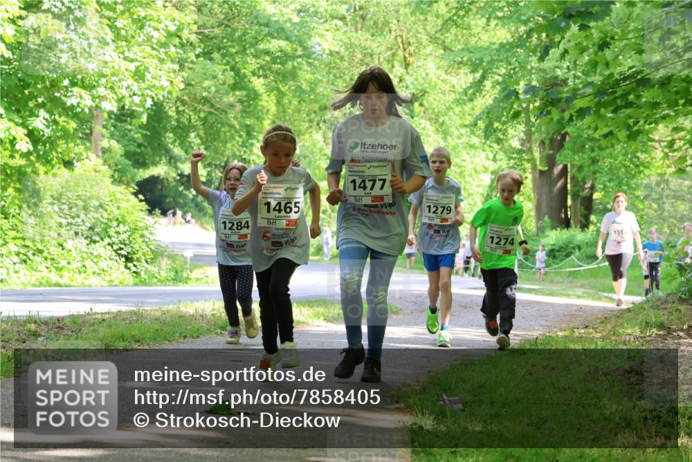 17.05.2025 - Störlauf Strokosch-Dieckow http://msf.ph/oto/7858405 17.05.2025 14:52:08 Laufen 1477, 1284, 2025, 1465, 1279, 1274, 1554 meine-sportfotos.de