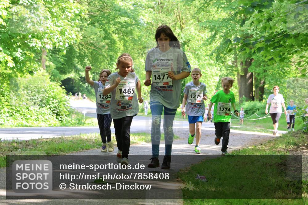 17.05.2025 - Störlauf Strokosch-Dieckow http://msf.ph/oto/7858408 17.05.2025 14:52:08 Laufen 1284, 2029, 1465, 2025, 1477, 1279, 1274, 155 meine-sportfotos.de