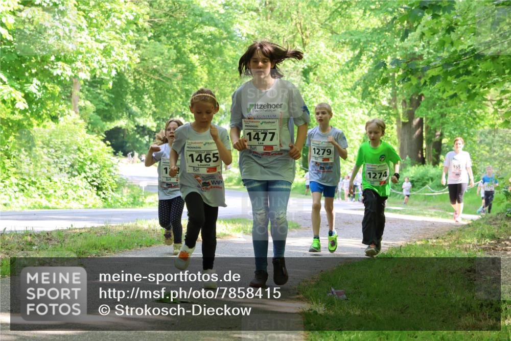 17.05.2025 - Störlauf Strokosch-Dieckow http://msf.ph/oto/7858415 17.05.2025 14:52:08 Laufen 1465, 1477, 1279, 1274, 155 meine-sportfotos.de