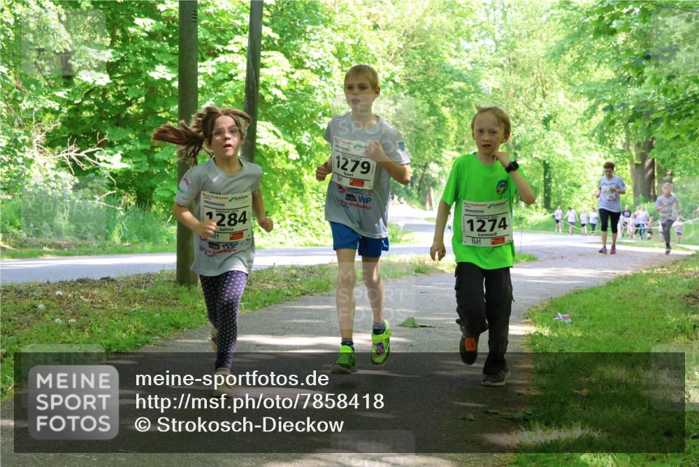 17.05.2025 - Störlauf Strokosch-Dieckow http://msf.ph/oto/7858418 17.05.2025 14:52:12 Laufen 1279, 2025, 1284, 2025, 1274, 155, 1563 meine-sportfotos.de
