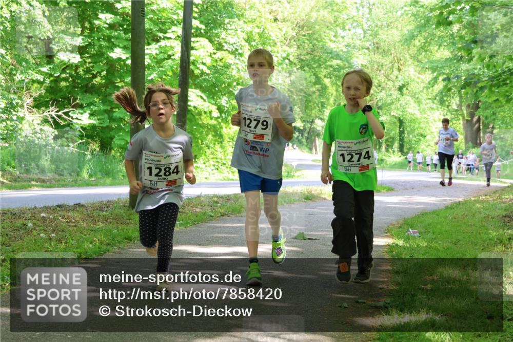 17.05.2025 - Störlauf Strokosch-Dieckow http://msf.ph/oto/7858420 17.05.2025 14:52:12 Laufen 2025, 1284, 1279, 1274, 1563 meine-sportfotos.de