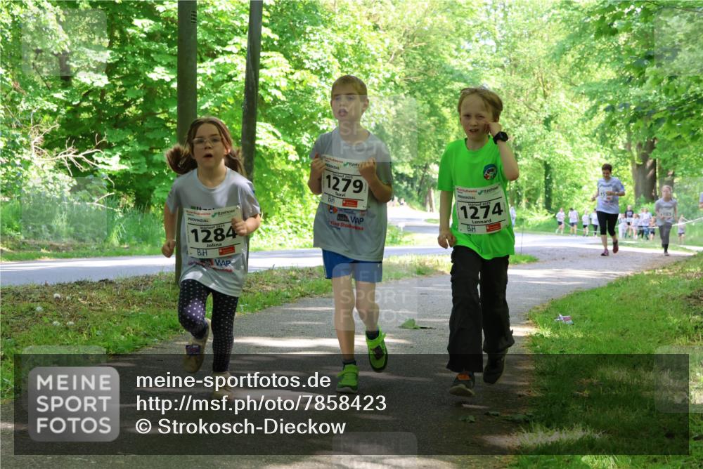 17.05.2025 - Störlauf Strokosch-Dieckow http://msf.ph/oto/7858423 17.05.2025 14:52:12 Laufen 2025, 1284, 1279, 1274 meine-sportfotos.de