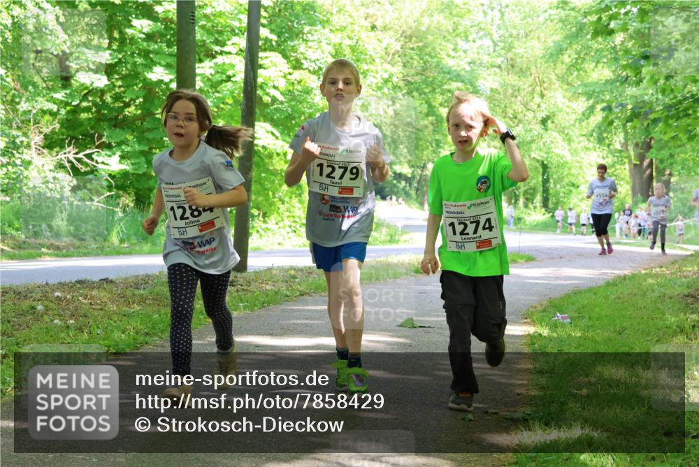 17.05.2025 - Störlauf Strokosch-Dieckow http://msf.ph/oto/7858429 17.05.2025 14:52:12 Laufen 1284, 1279, 2025, 1274, 1554, 1563 meine-sportfotos.de
