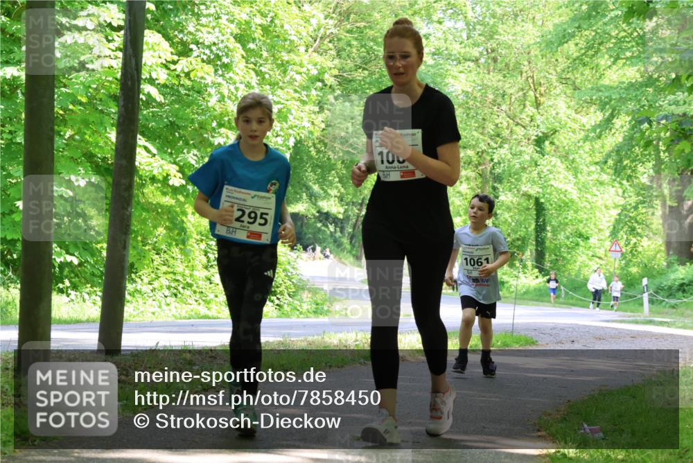 17.05.2025 - Störlauf Strokosch-Dieckow http://msf.ph/oto/7858450 17.05.2025 14:52:25 Laufen 295, 100, 1061 meine-sportfotos.de