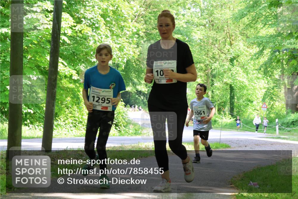 17.05.2025 - Störlauf Strokosch-Dieckow http://msf.ph/oto/7858455 17.05.2025 14:52:26 Laufen 1295, 10, 1061 meine-sportfotos.de