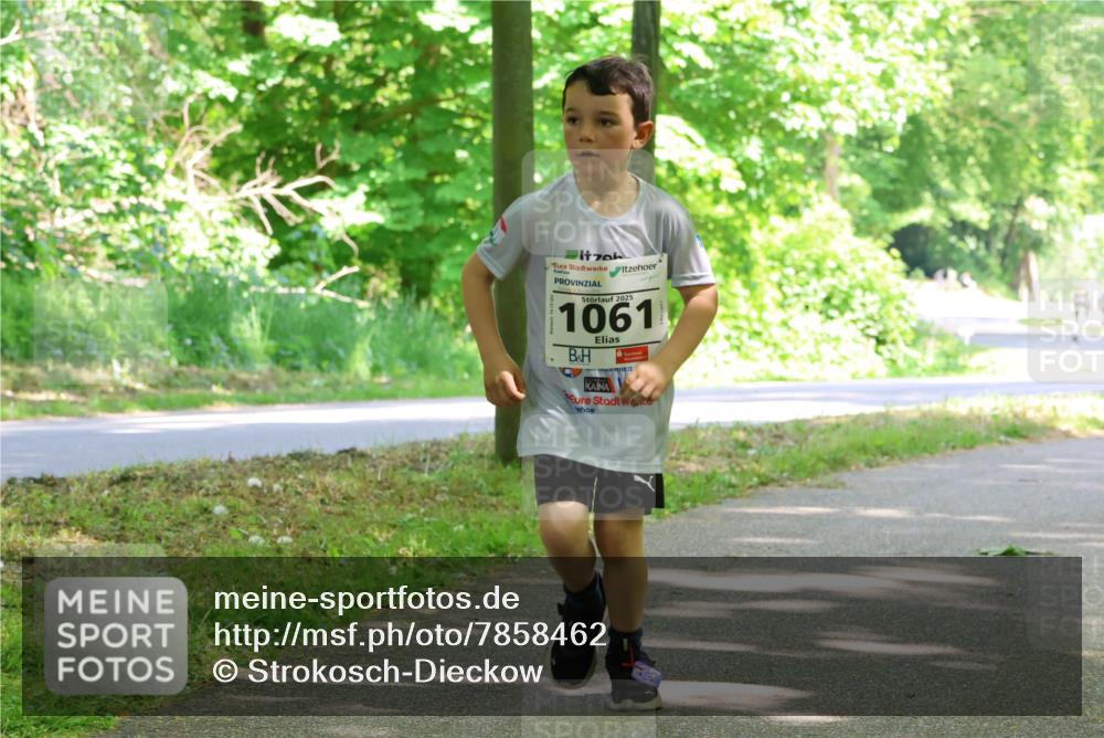 17.05.2025 - Störlauf Strokosch-Dieckow http://msf.ph/oto/7858462 17.05.2025 14:52:29 Laufen 2025, 1061 meine-sportfotos.de