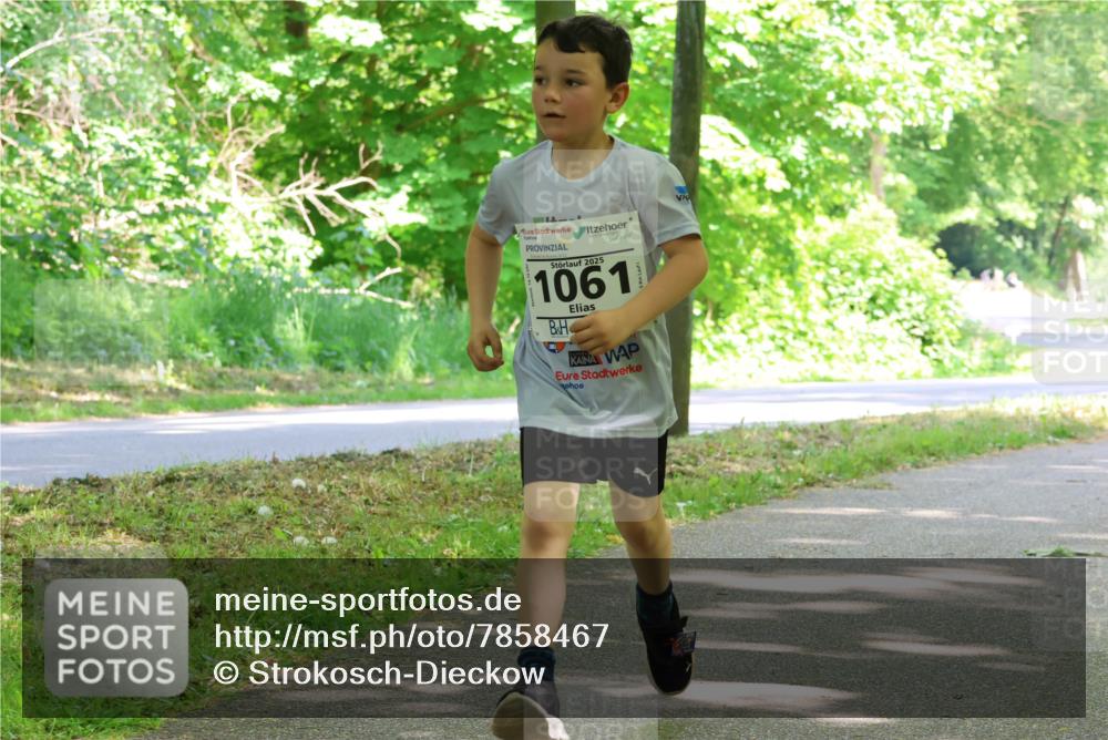 17.05.2025 - Störlauf Strokosch-Dieckow http://msf.ph/oto/7858467 17.05.2025 14:52:29 Laufen 2025, 1061 meine-sportfotos.de