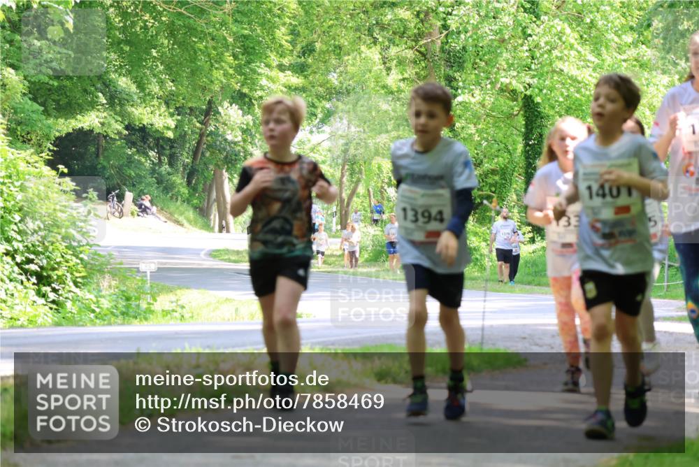 17.05.2025 - Störlauf Strokosch-Dieckow http://msf.ph/oto/7858469 17.05.2025 14:52:36 Laufen 1394, 33, 140 meine-sportfotos.de