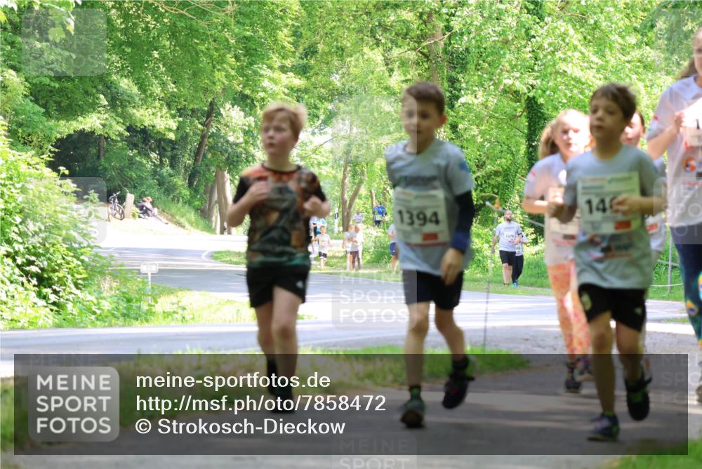 17.05.2025 - Störlauf Strokosch-Dieckow http://msf.ph/oto/7858472 17.05.2025 14:52:36 Laufen 1394, 1379, 146 meine-sportfotos.de