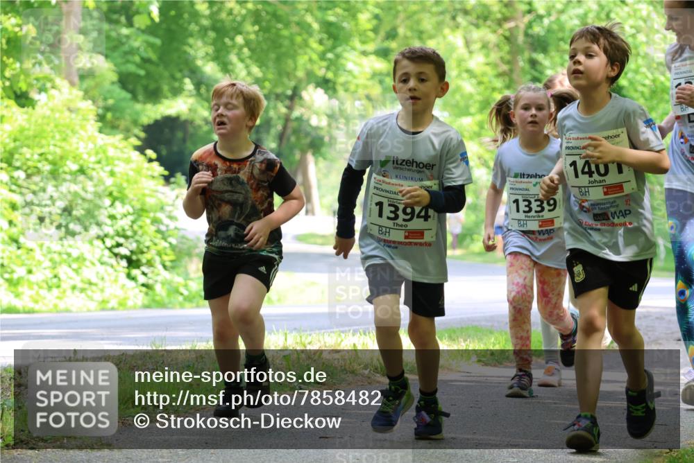 17.05.2025 - Störlauf Strokosch-Dieckow http://msf.ph/oto/7858482 17.05.2025 14:52:37 Laufen 1394, 21, 1339, 140, 25 meine-sportfotos.de