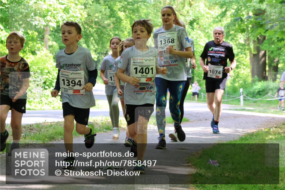 17.05.2025 - Störlauf Strokosch-Dieckow http://msf.ph/oto/7858497 17.05.2025 14:52:38 Laufen 2025, 1394, 1368, 2025, 1401, 1074, 13 meine-sportfotos.de