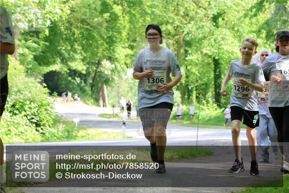 17.05.2025 - Störlauf Strokosch-Dieckow http://msf.ph/oto/7858520 17.05.2025 14:52:47 Laufen 2025, 1306, 1296, 165 meine-sportfotos.de