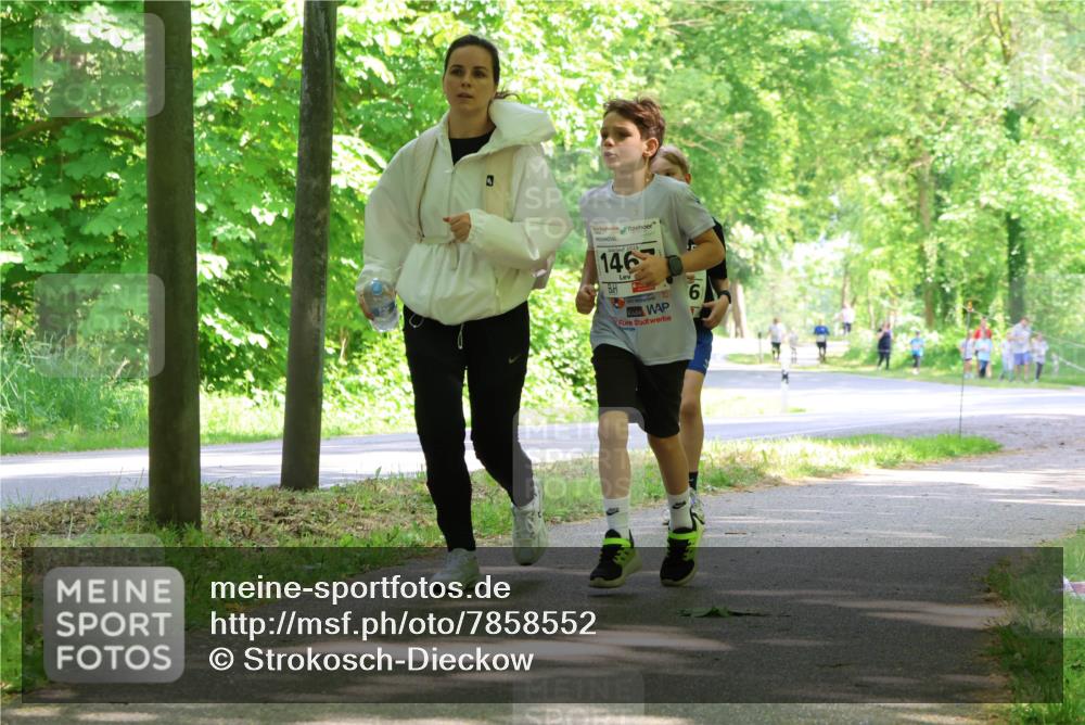 17.05.2025 - Störlauf Strokosch-Dieckow http://msf.ph/oto/7858552 17.05.2025 14:52:56 Laufen 146, 6 meine-sportfotos.de