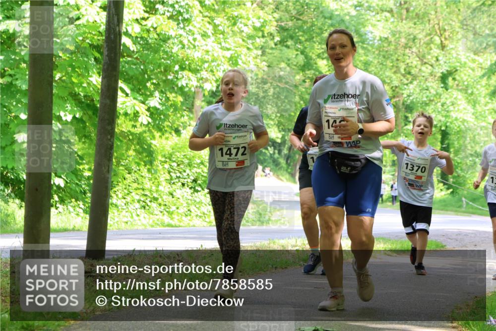 17.05.2025 - Störlauf Strokosch-Dieckow http://msf.ph/oto/7858585 17.05.2025 14:53:27 Laufen 2025, 1472, 2, 14, 1370 meine-sportfotos.de