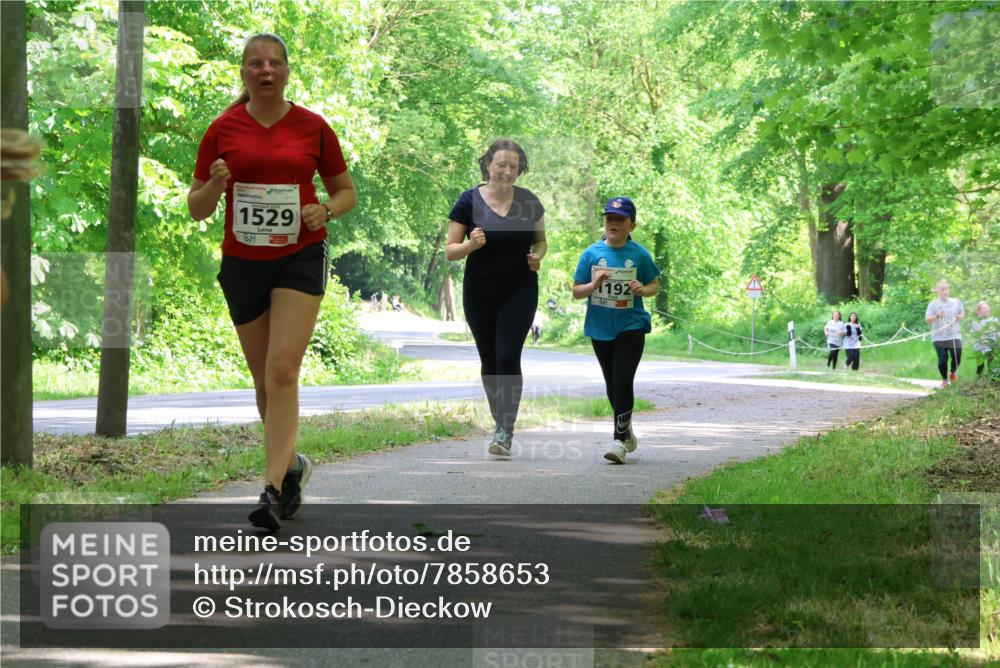 17.05.2025 - Störlauf Strokosch-Dieckow http://msf.ph/oto/7858653 17.05.2025 14:53:44 Laufen 1529, 192 meine-sportfotos.de