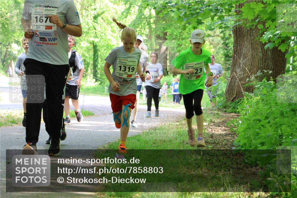 17.05.2025 - Störlauf Strokosch-Dieckow http://msf.ph/oto/7858803 17.05.2025 14:55:17 Laufen 2025, 167, 2, 2025, 1319, 198, 23 meine-sportfotos.de